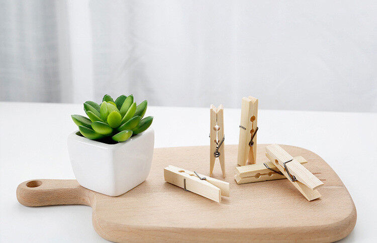 Bamboo Clothes Pegs Strong Washing Line Drying Clips Spring wood wooden pegs