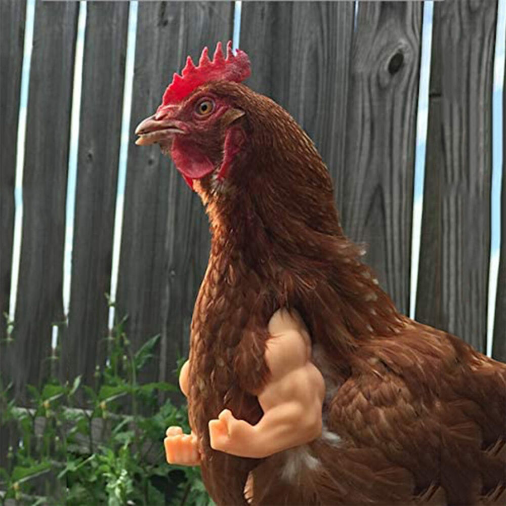 Muscle Chicken Arms Gag Gift Chicken Arms For Chicken to Wear Fighting