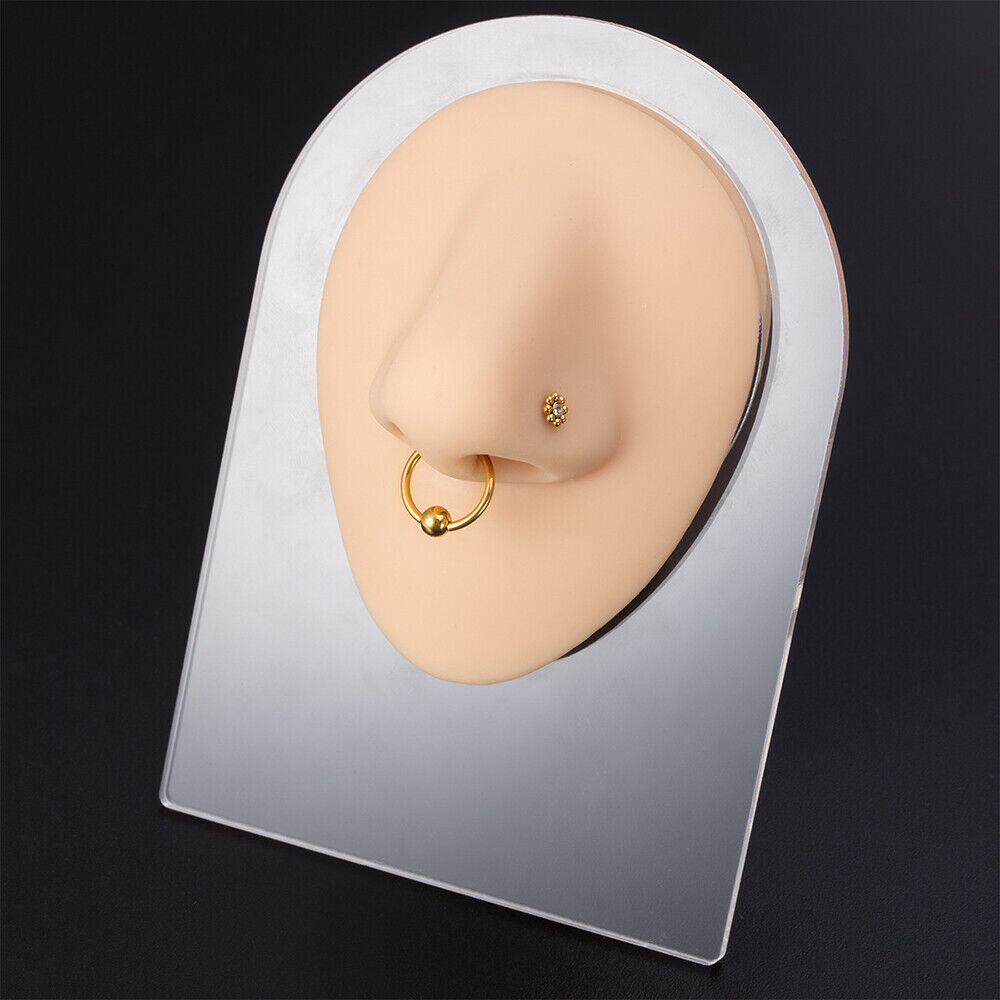 Silicone Ear Model with Acrylic Display Stand Body Part Practice Piercing Tool