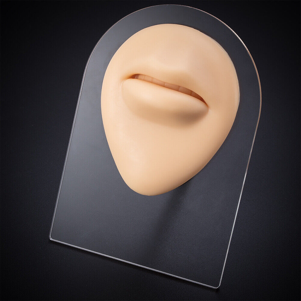 Silicone Ear Model with Acrylic Display Stand Body Part Practice Piercing Tool