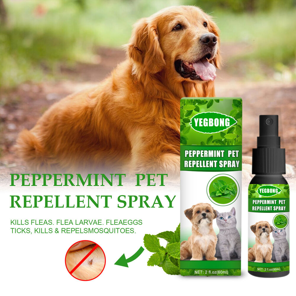 2X Flea Tick Mite Treatment Sprays Anti Itch For Pets Dogs Cat Instant Repellent