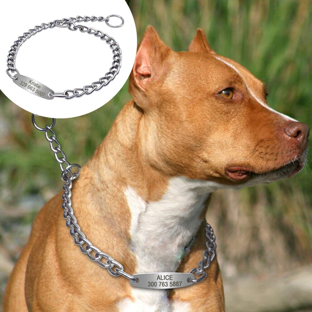 Personalized Dog Chain Choke Collar Engraved ID Slip Dog Collar for Pitbull Pug