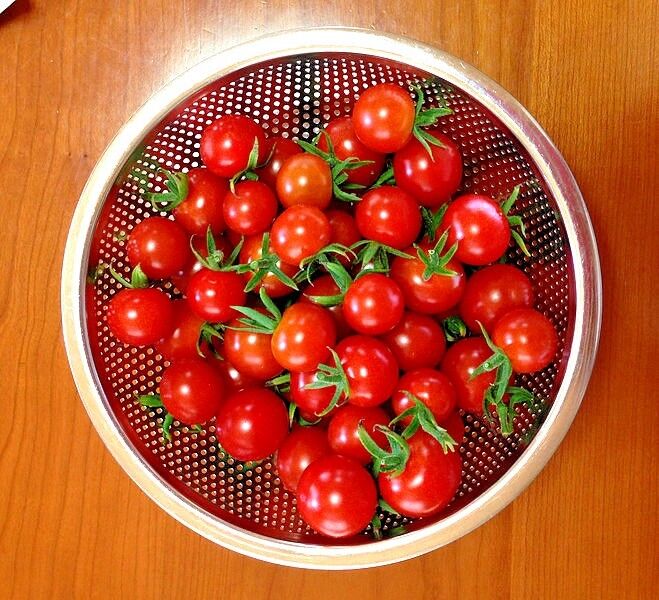 TOMATO 'Cherry Cocktail' 30+ seeds tiny fruit sweet vegetable garden cherry mini