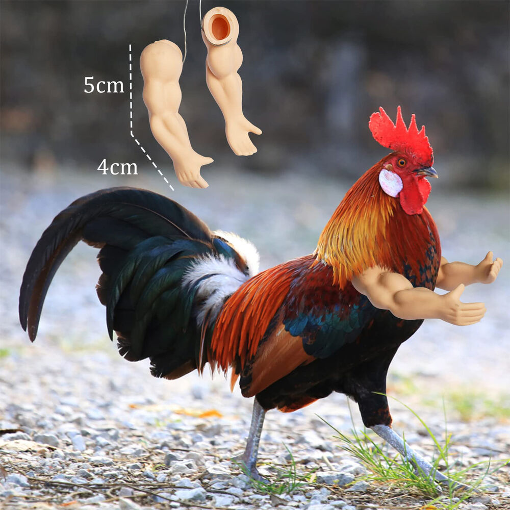 Muscle Chicken Arms Gag Gift Chicken Arms For Chicken to Wear Fighting