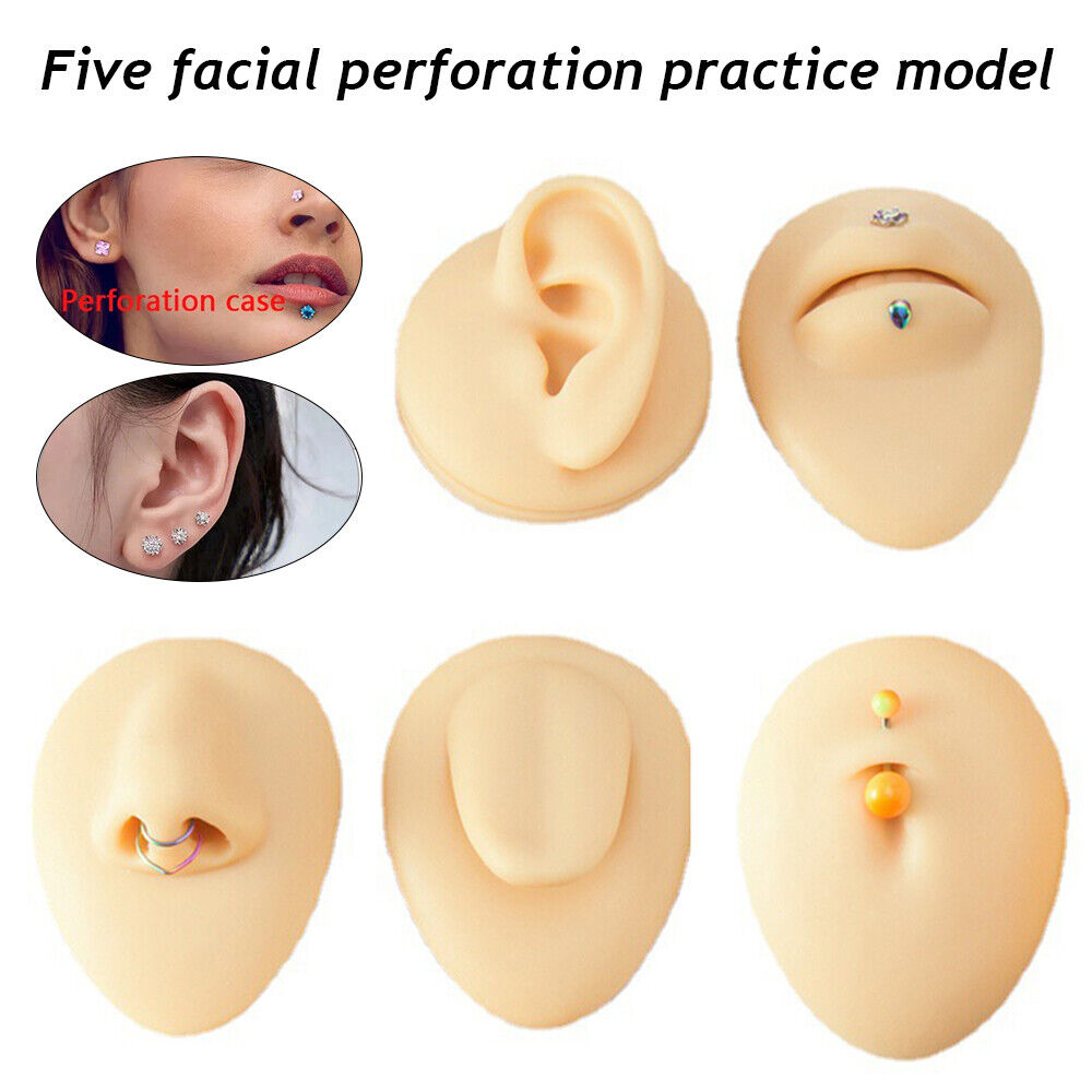 Silicone Ear Model with Acrylic Display Stand Body Part Practice Piercing Tool