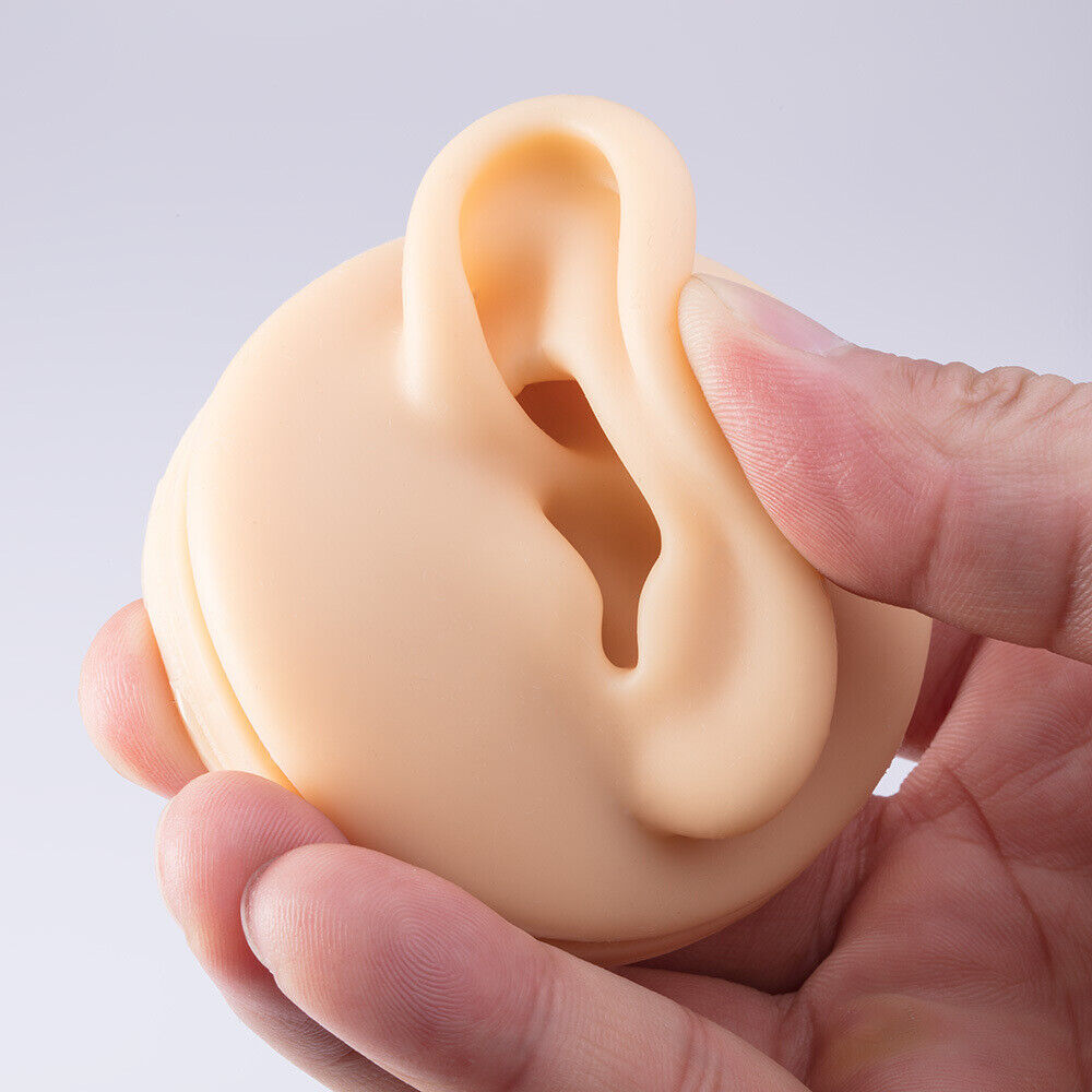 Silicone Ear Model with Acrylic Display Stand Body Part Practice Piercing Tool