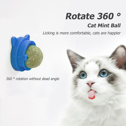 NEW Rotatable Catnip Ball Natural Cats Licking Balls Molar Catnip Snacks (Blue)