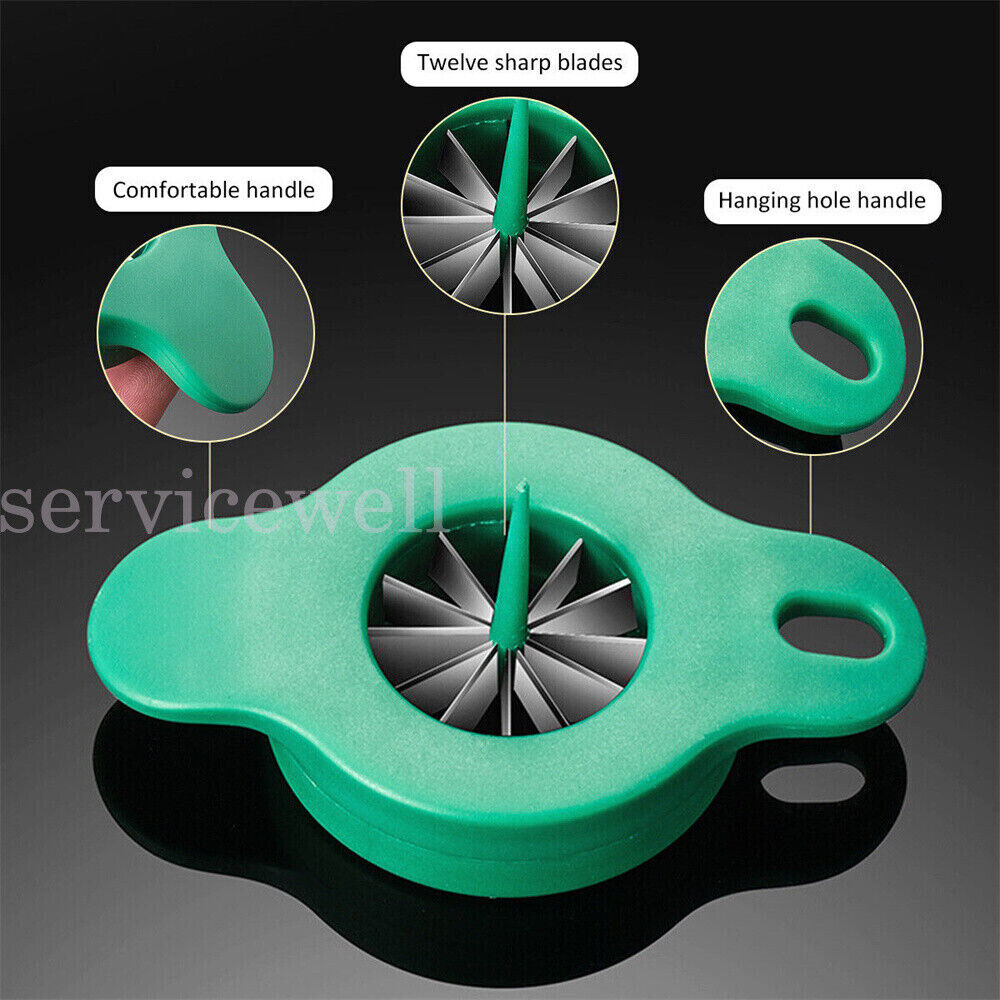 Onion Fruit Vegetable Scallion Cutter Shred Silk Chopped Slicer