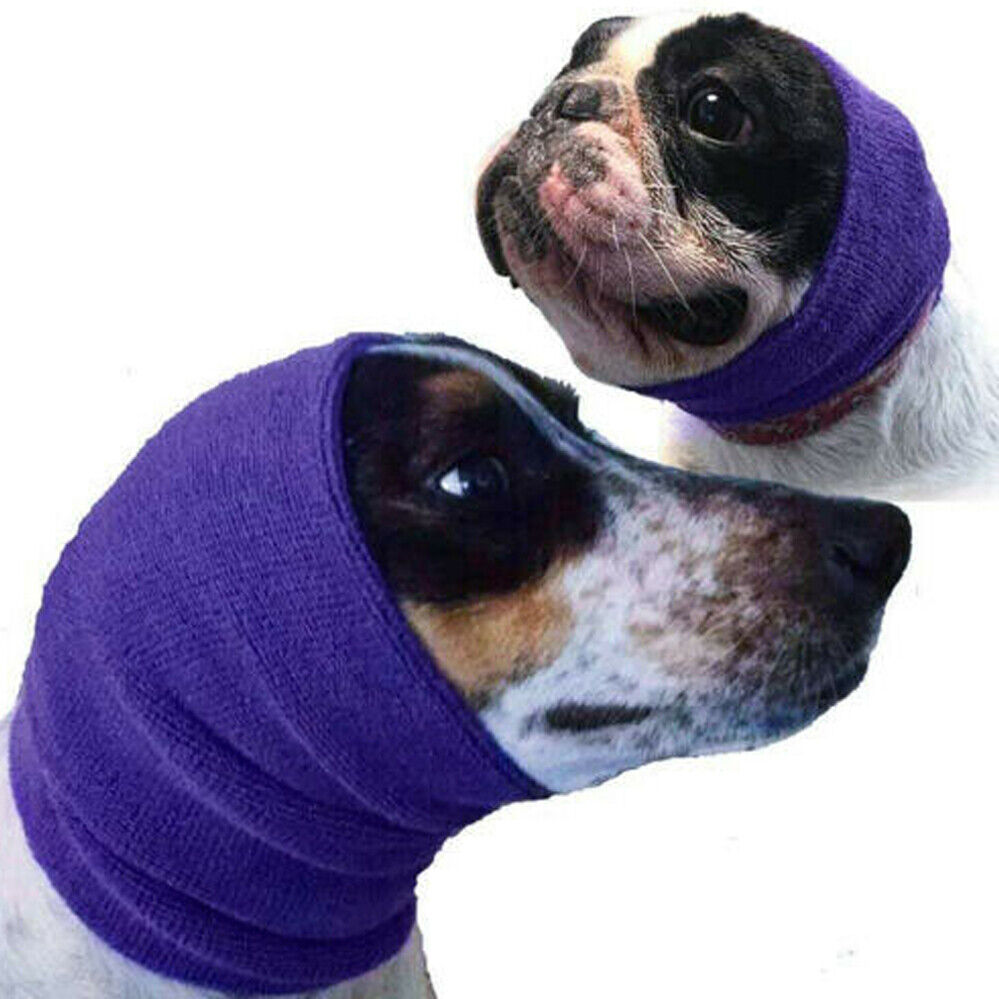 Happy Hoodie Purple, Dog Pet Grooming
