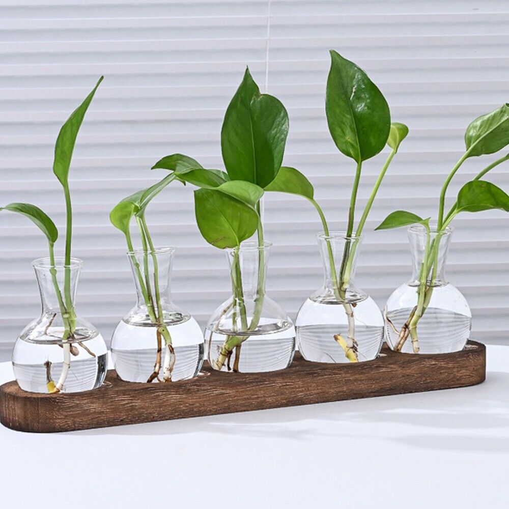 3/5 Desktop Bulb Glass Vase Wooden Stand Hydroponics Plant Propagation Station