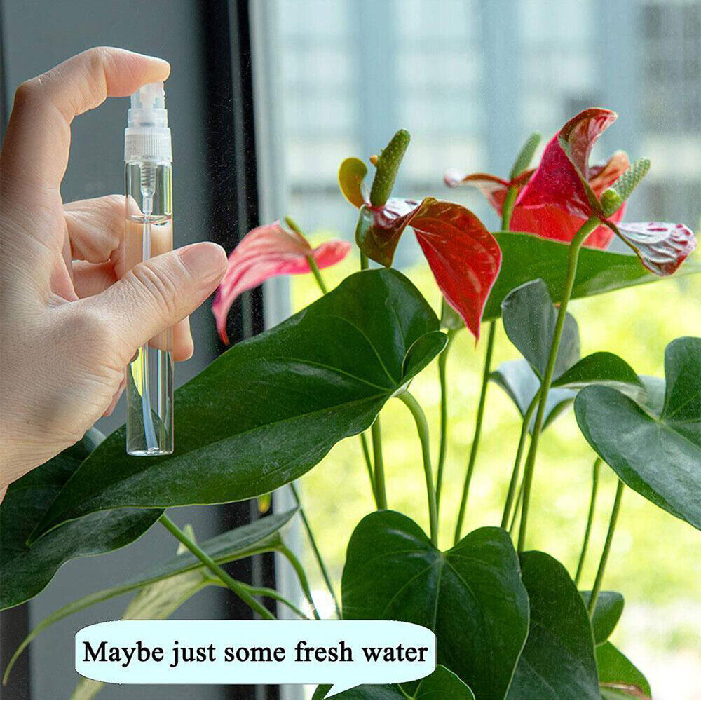 3/5/10ml Perfume Atomizer Empty Flat Glass Spray Bottle Refillable Container 10X