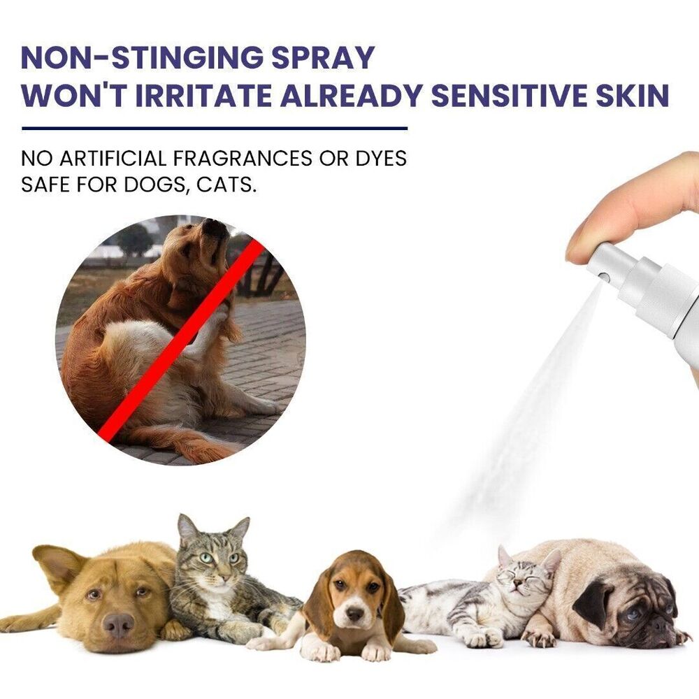 New Hydrocortisone Spray Pet Anti Itching Spray For Dog and Cats Practical