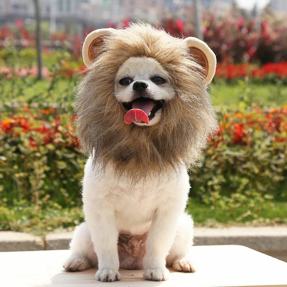 Wig Pet Small Dog Cats Costume Lion Mane Wig Cap Hat For Cat Dogs Fancy Costume