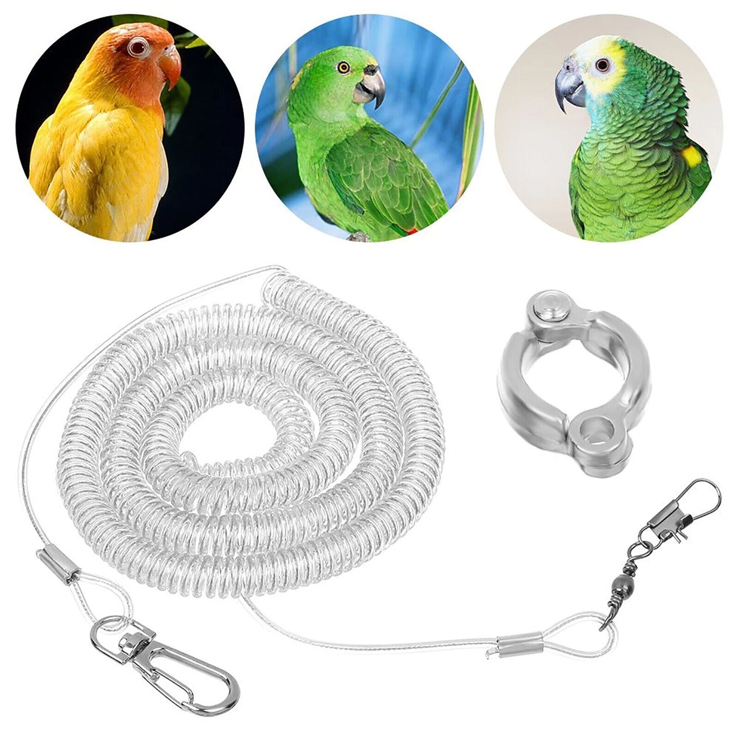 3M Bird Leash w/Leg Ring Ultra-light Parrot Bird Harness Flying Training Rope