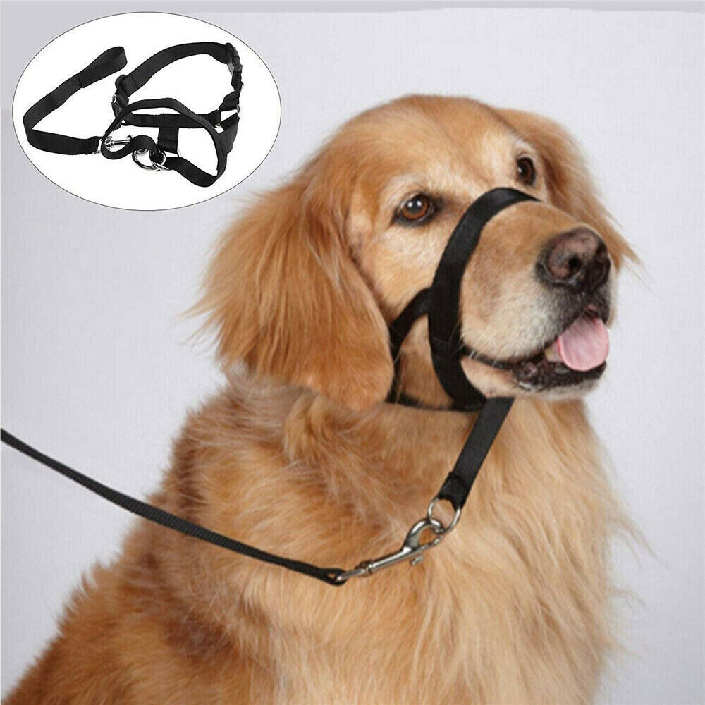 Dogalter Dog Halter Halti Nylon Training Head Collar Strap Gentle Leader Harness