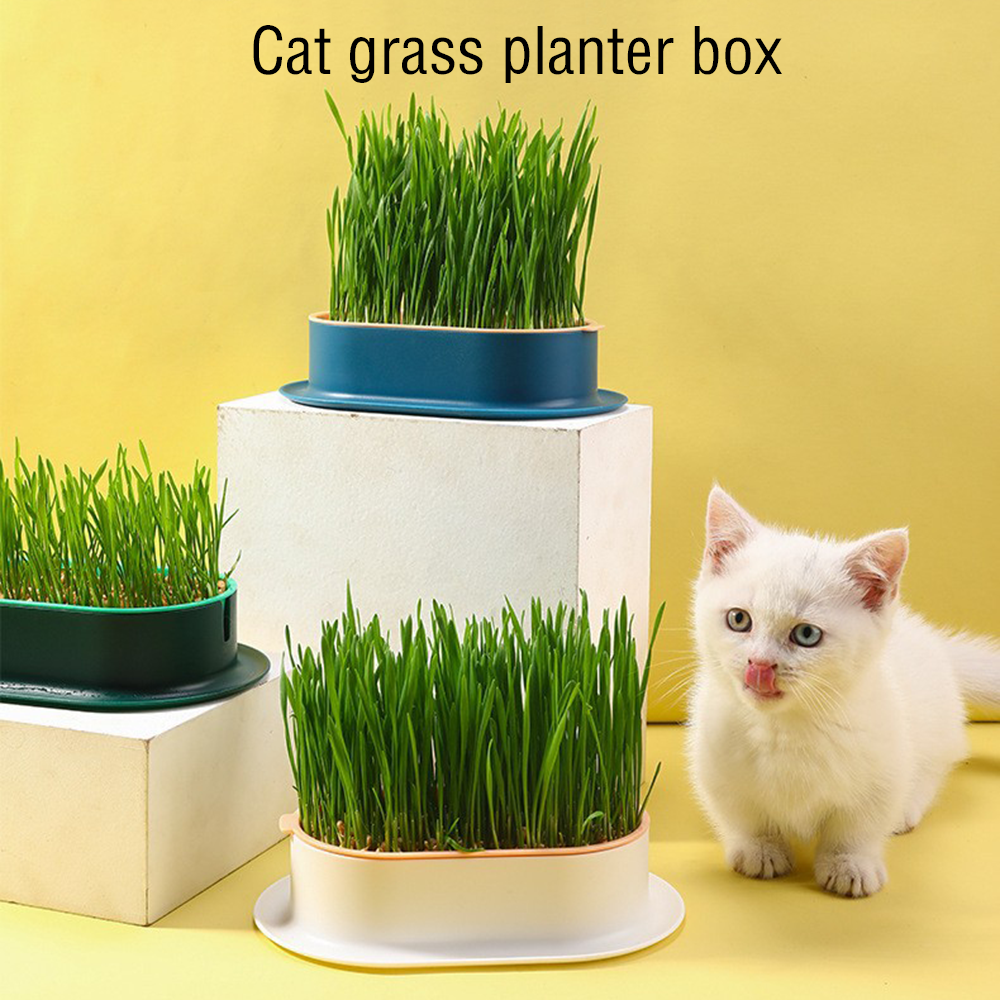 Grow Pots For Cat Grass Planter Hydroponic Box Soilless Organic Planting Pot