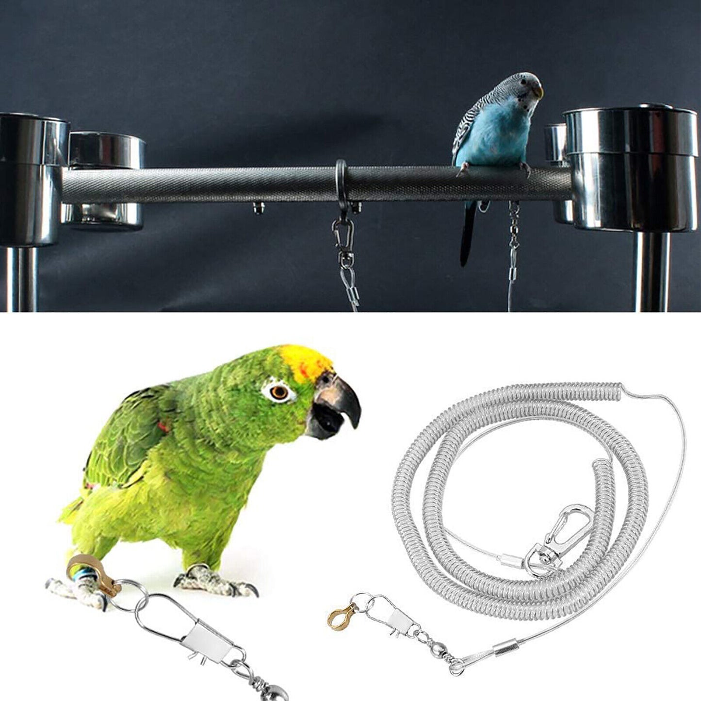 3M Bird Leash w/Leg Ring Ultra-light Parrot Bird Harness Flying Training Rope