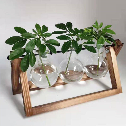 Glass Vases Wooden Stand Hanging Terrarium Container Hydroponics Pot Vase Decor