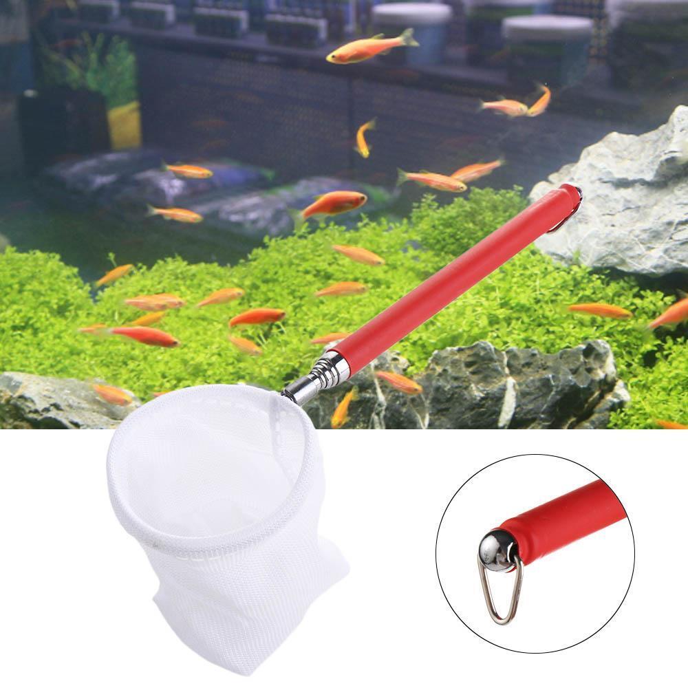 Scoop Shrimp Catching Fish Tank Accessory Fishnet Catch Net Aquarium Supplies