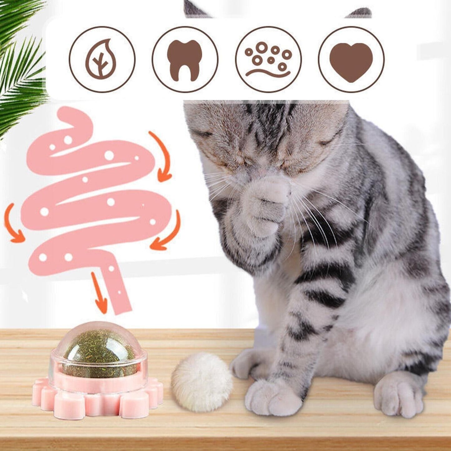 2x Rotatable Cat Treat Toy with Catnip Snack Licking Ball Kitten Pet Molar Toys