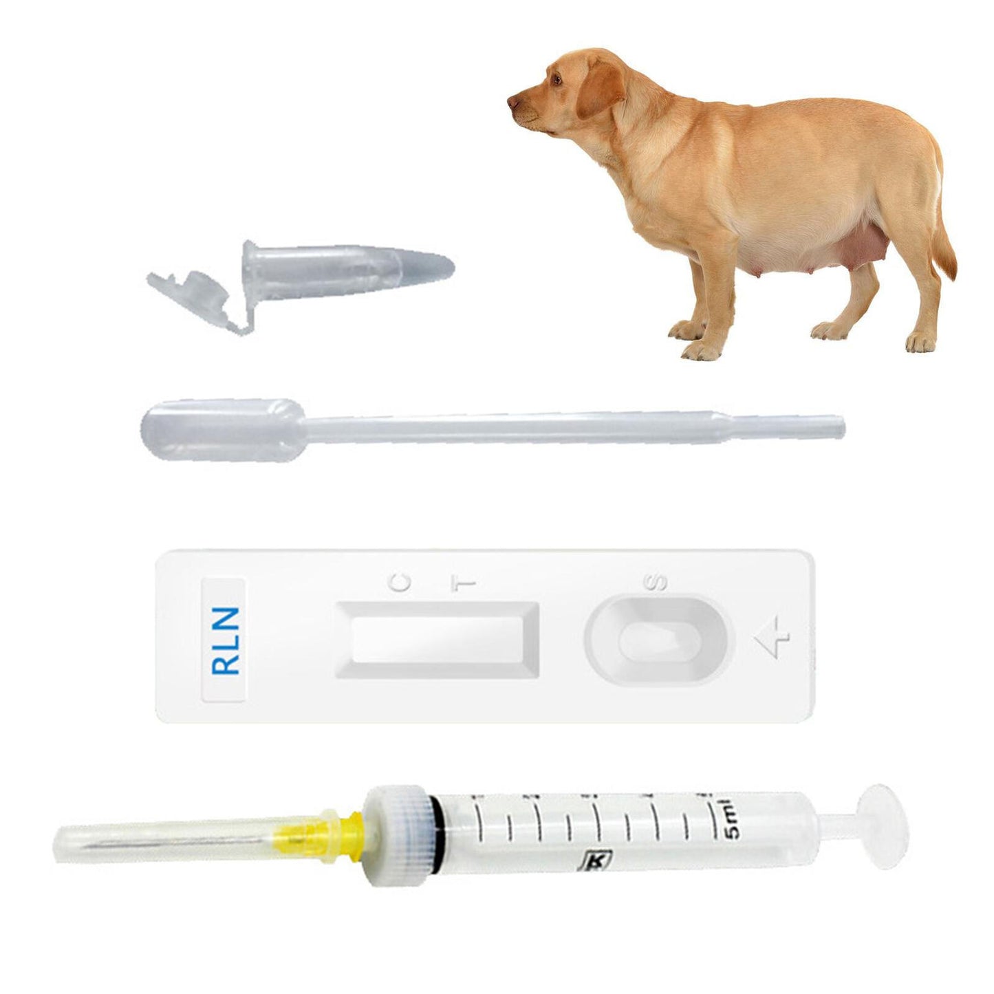 4Pcs/Set Canine Early Pregnancy Detection Test Strips Kits for Dog, Medical Kits