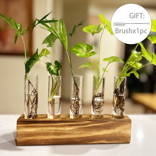 5 Tube Desktop Glass Vase Wooden Stand Hydroponics Plant Propagation Station