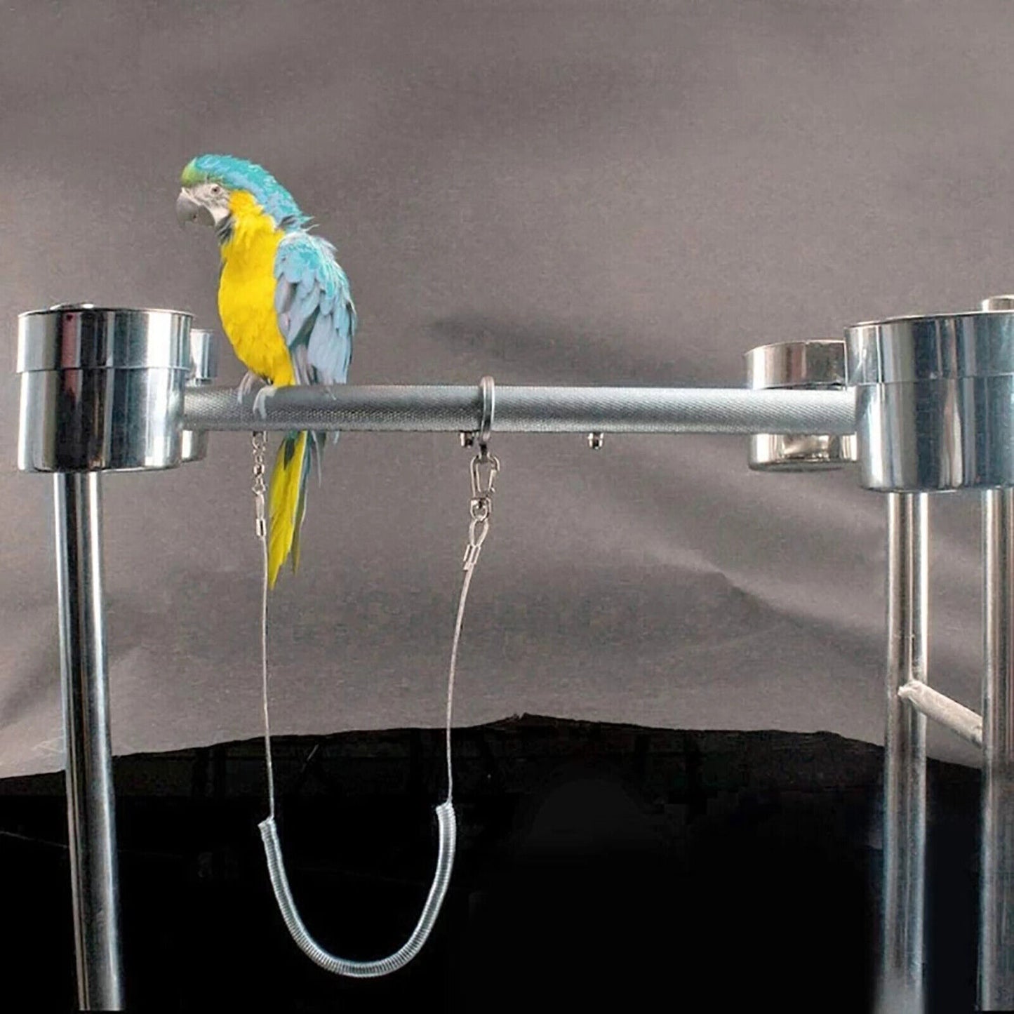 3M Bird Leash w/Leg Ring Ultra-light Parrot Bird Harness Flying Training Rope