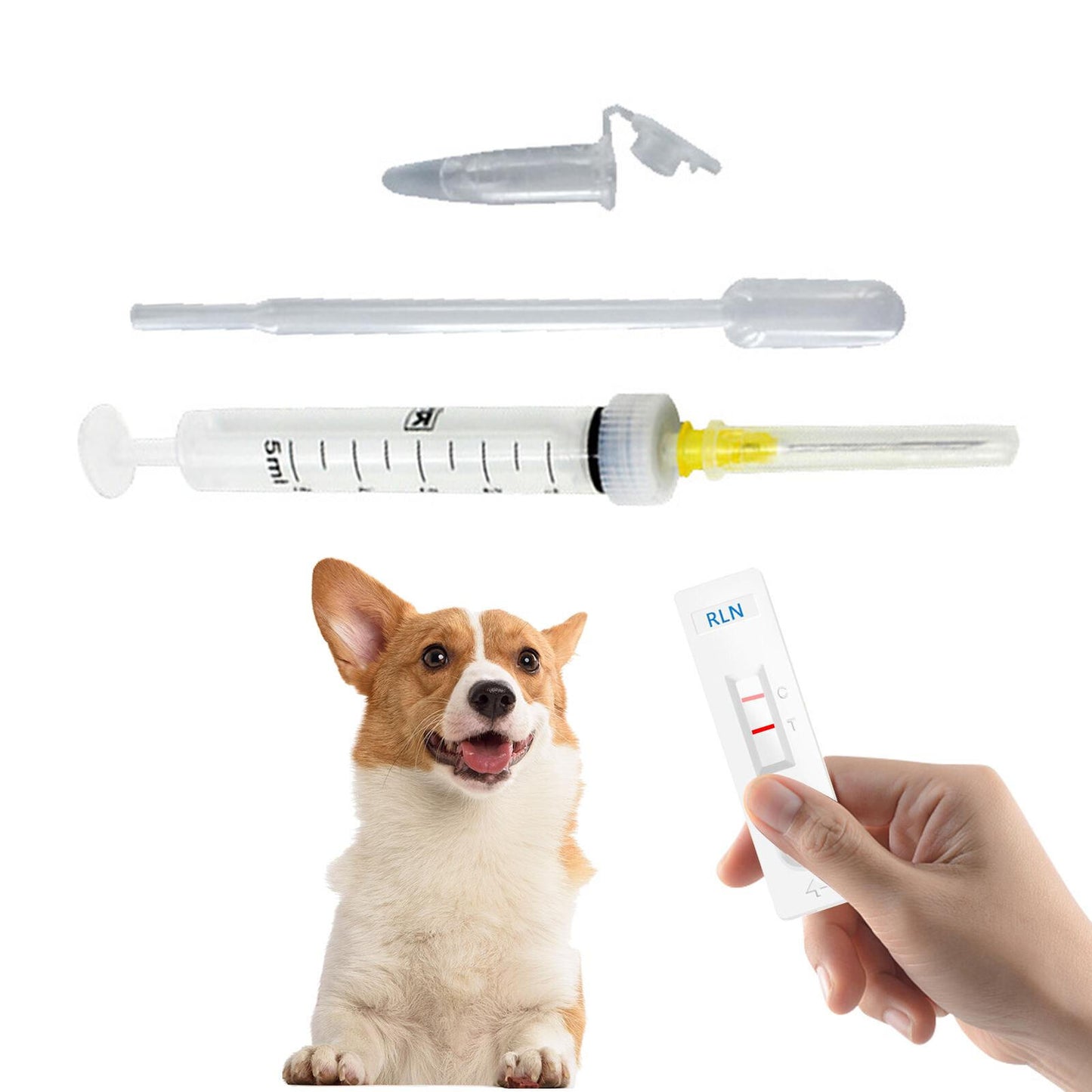 4Pcs/Set Canine Early Pregnancy Detection Test Strips Kits for Dog, Medical Kits