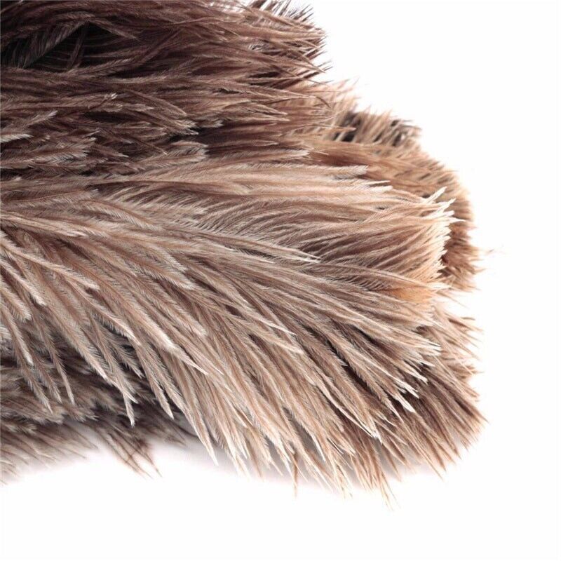 2× Anti Static Genuine Ostrich Feather Duster Wooden Handle Brush Clean