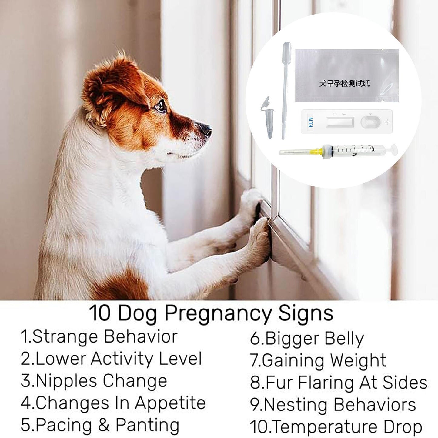 4Pcs/Set Canine Early Pregnancy Detection Test Strips Kits for Dog, Medical Kits