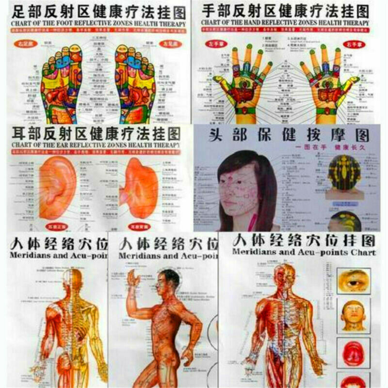 Whole body English Acupuncture Meridian Acupressure Points Poster Chart Wall Map