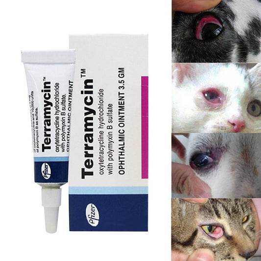 2X Pets Cat Dog Eye Corneal Inflammation Ointment Eye Redness Swollen Eye Care