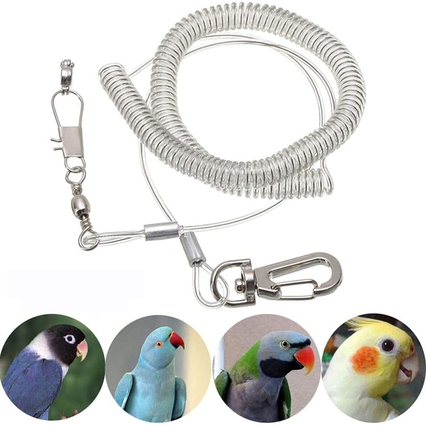 3M Bird Leash w/Leg Ring Ultra-light Parrot Bird Harness Flying Training Rope