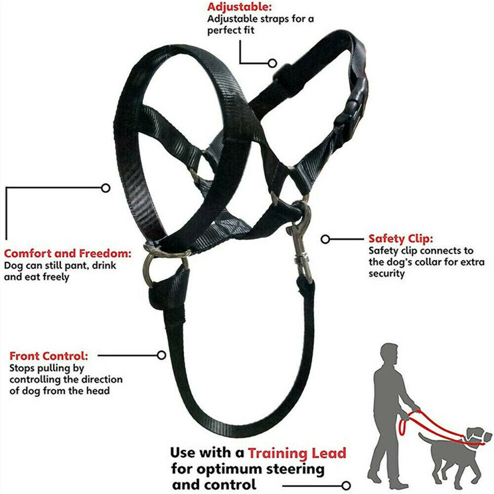 Dogalter Dog Halter Halti Nylon Training Head Collar Strap Gentle Leader Harness