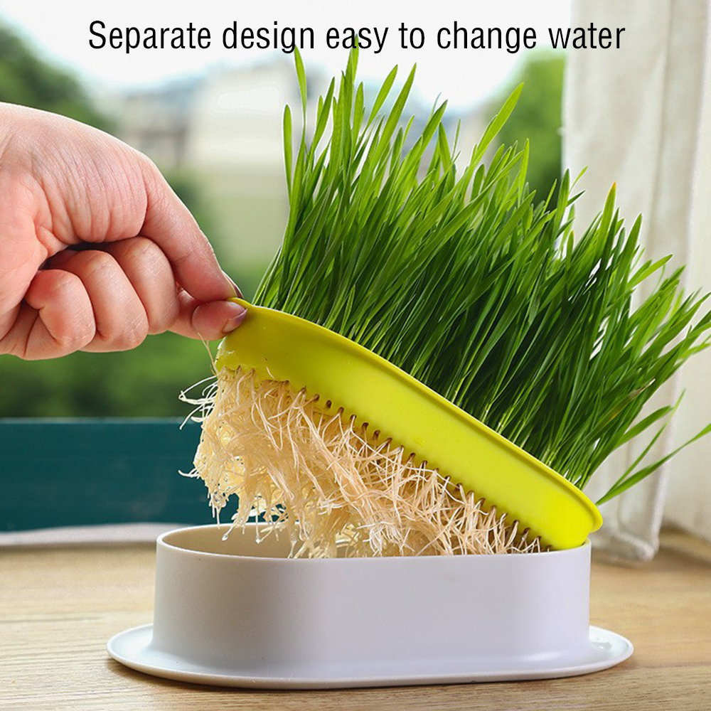 Grow Pots For Cat Grass Planter Hydroponic Box Soilless Organic Planting Pot