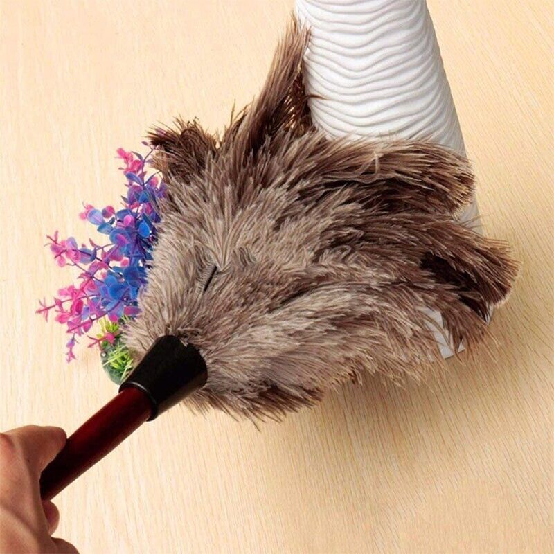 2× Anti Static Genuine Ostrich Feather Duster Wooden Handle Brush Clean