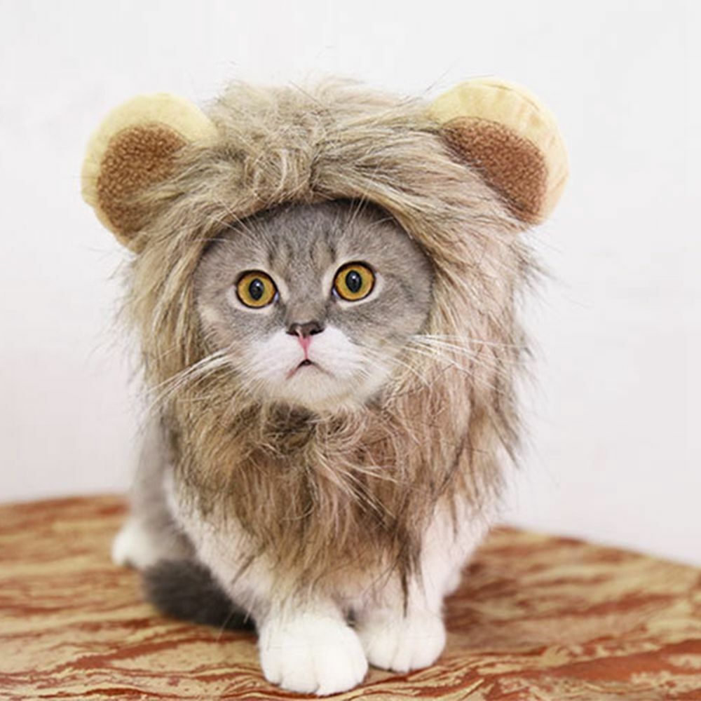 Wig Pet Small Dog Cats Costume Lion Mane Wig Cap Hat For Cat Dogs Fancy Costume