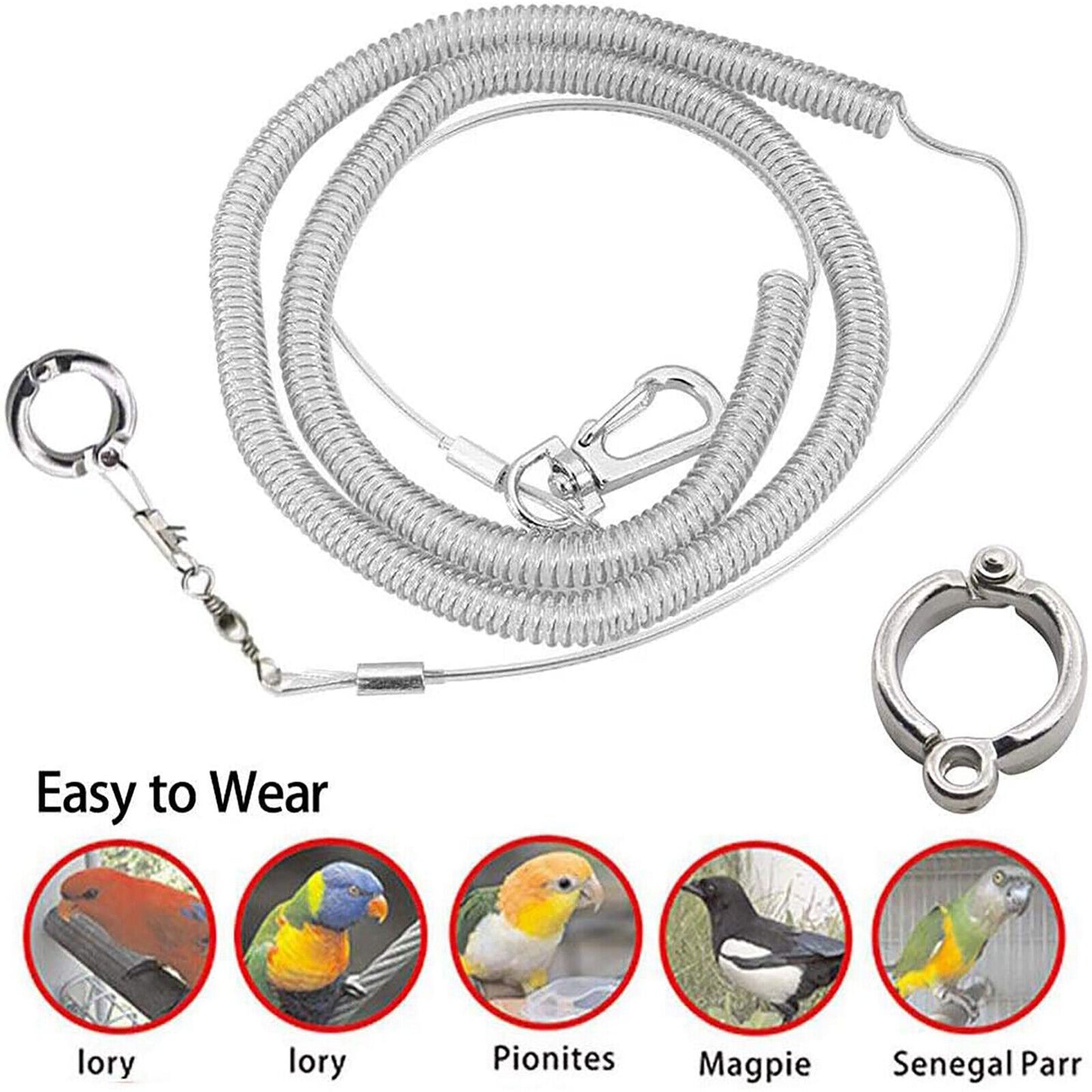 3M Bird Leash w/Leg Ring Ultra-light Parrot Bird Harness Flying Training Rope