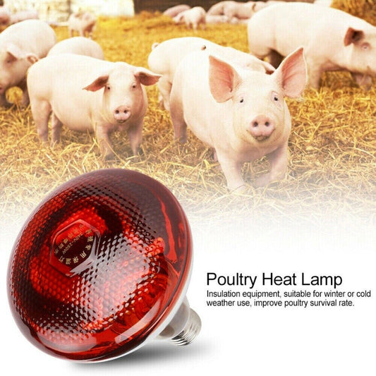 Infrared Poultry Heat Incubator Lamp Infra Light Bulb for Brooder Chicks 240V