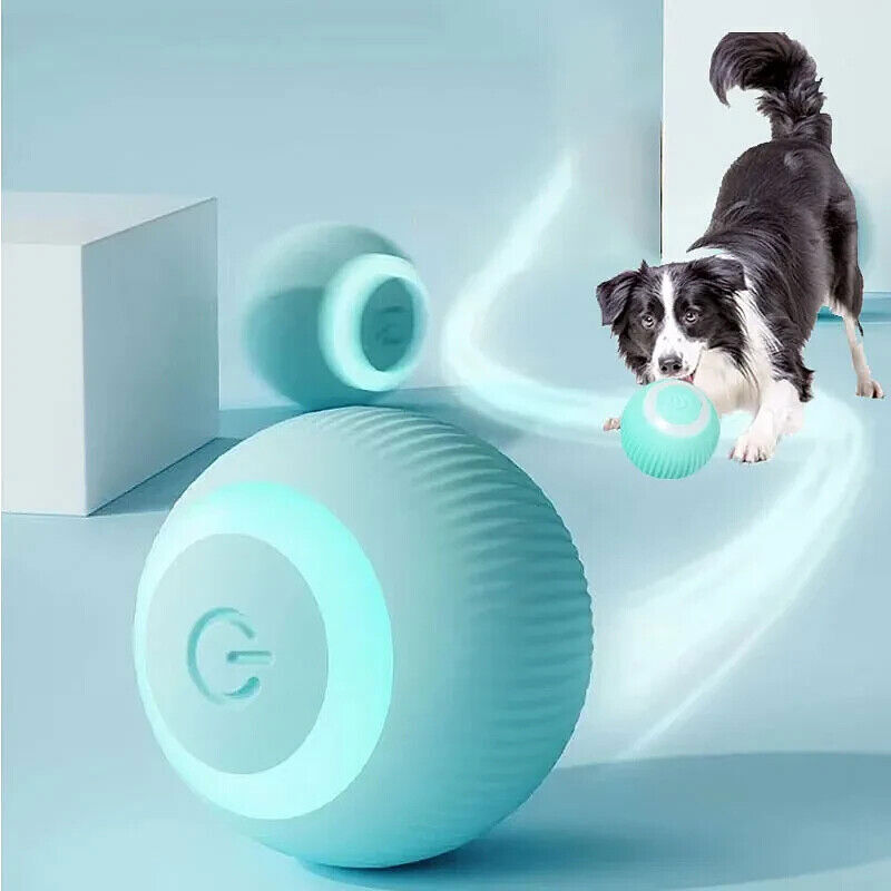 Power Ball 2.0 Cat Toy