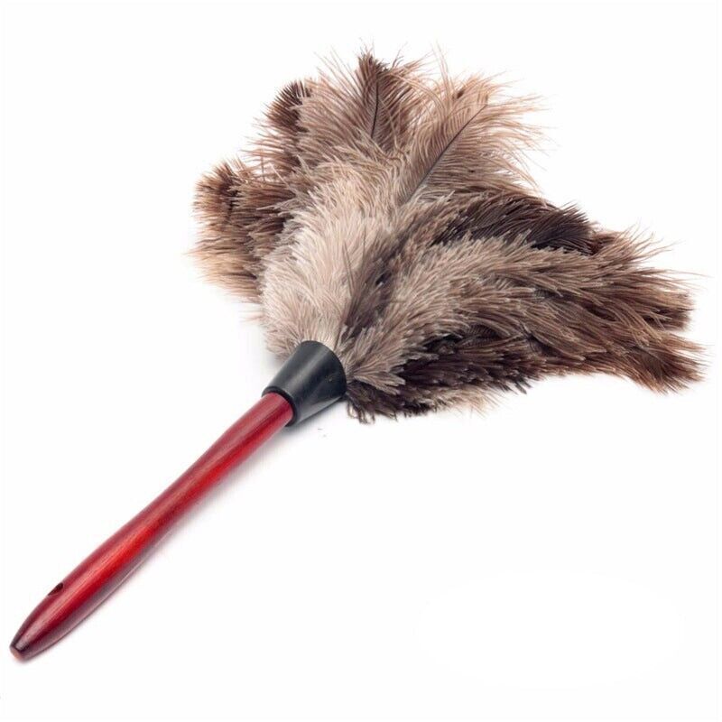 2× Anti Static Genuine Ostrich Feather Duster Wooden Handle Brush Clean