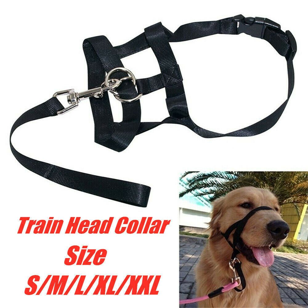 Dogalter Dog Halter Halti Nylon Training Head Collar Strap Gentle Leader Harness