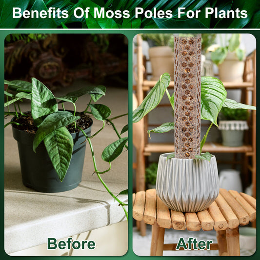 4Pcs Moss Pole 15.7" Reusable Plastic Plant Pole Stick Transparent Plant