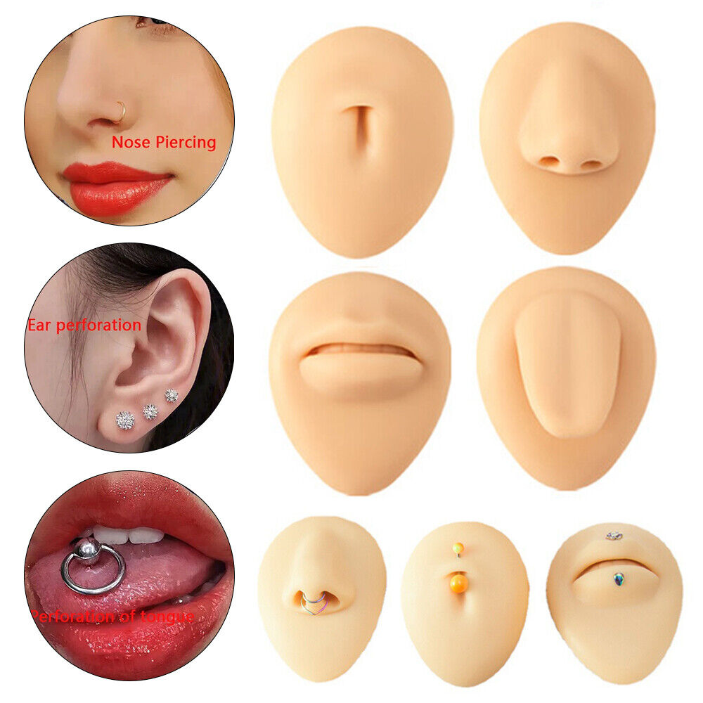 Silicone Ear Model with Acrylic Display Stand Body Part Practice Piercing Tool