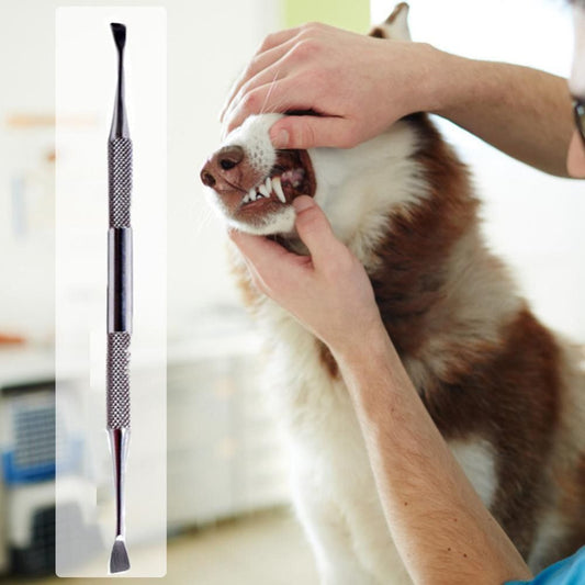 Anti-rust Tartar Scraper Scaler Dental Calculus Remover for For Pet Cat Dog