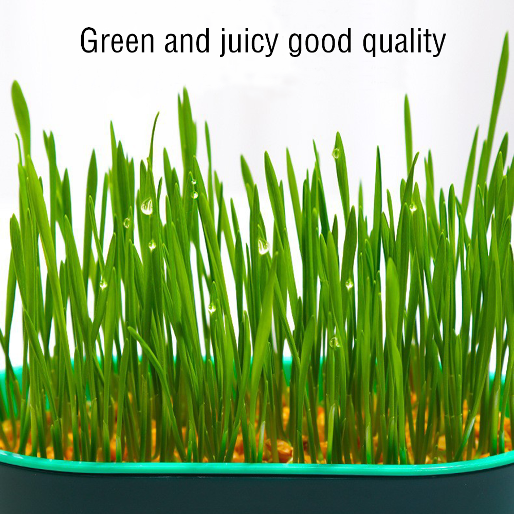 Grow Pots For Cat Grass Planter Hydroponic Box Soilless Organic Planting Pot