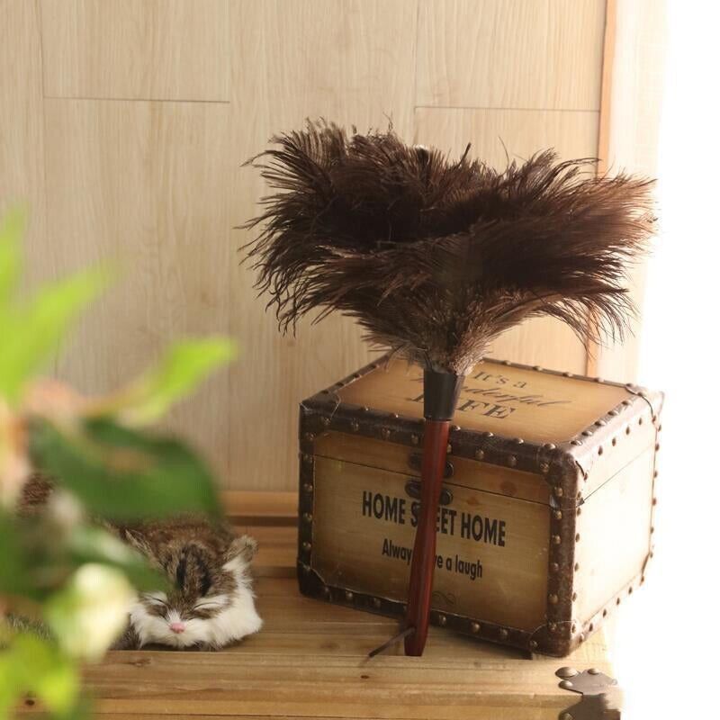 2× Anti Static Genuine Ostrich Feather Duster Wooden Handle Brush Clean