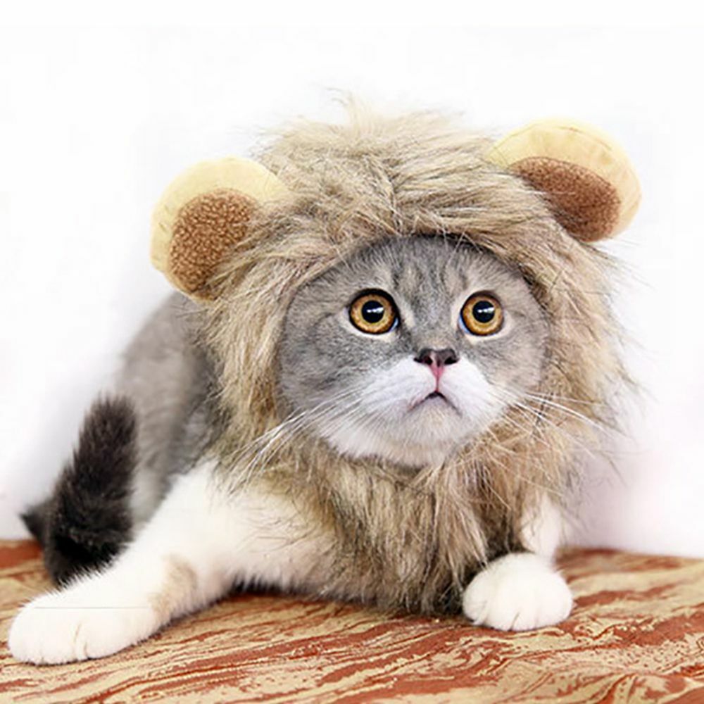 Wig Pet Small Dog Cats Costume Lion Mane Wig Cap Hat For Cat Dogs Fancy Costume