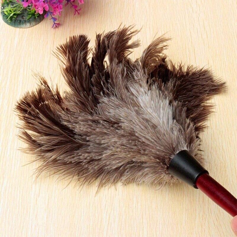 2× Anti Static Genuine Ostrich Feather Duster Wooden Handle Brush Clean