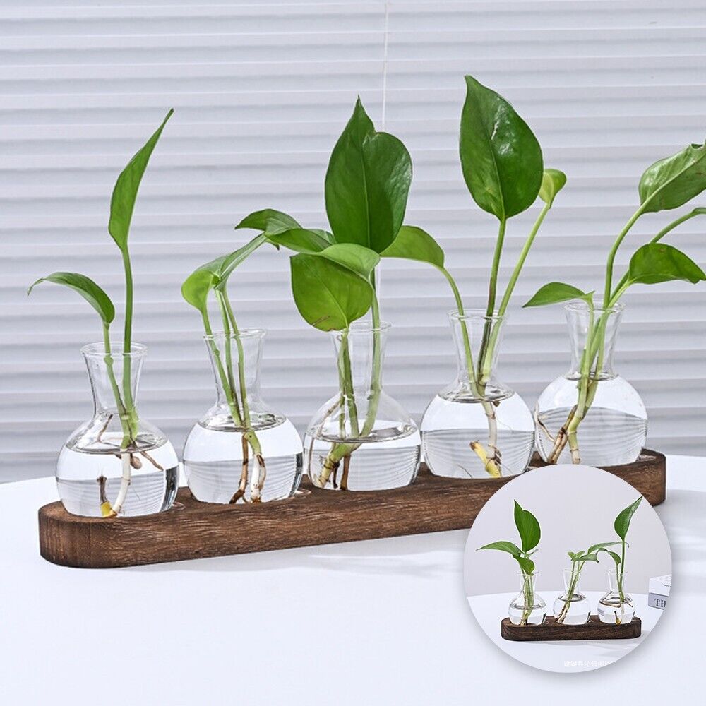 3/5 Desktop Bulb Glass Vase Wooden Stand Hydroponics Plant Propagation Station